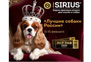 Фото на тему события